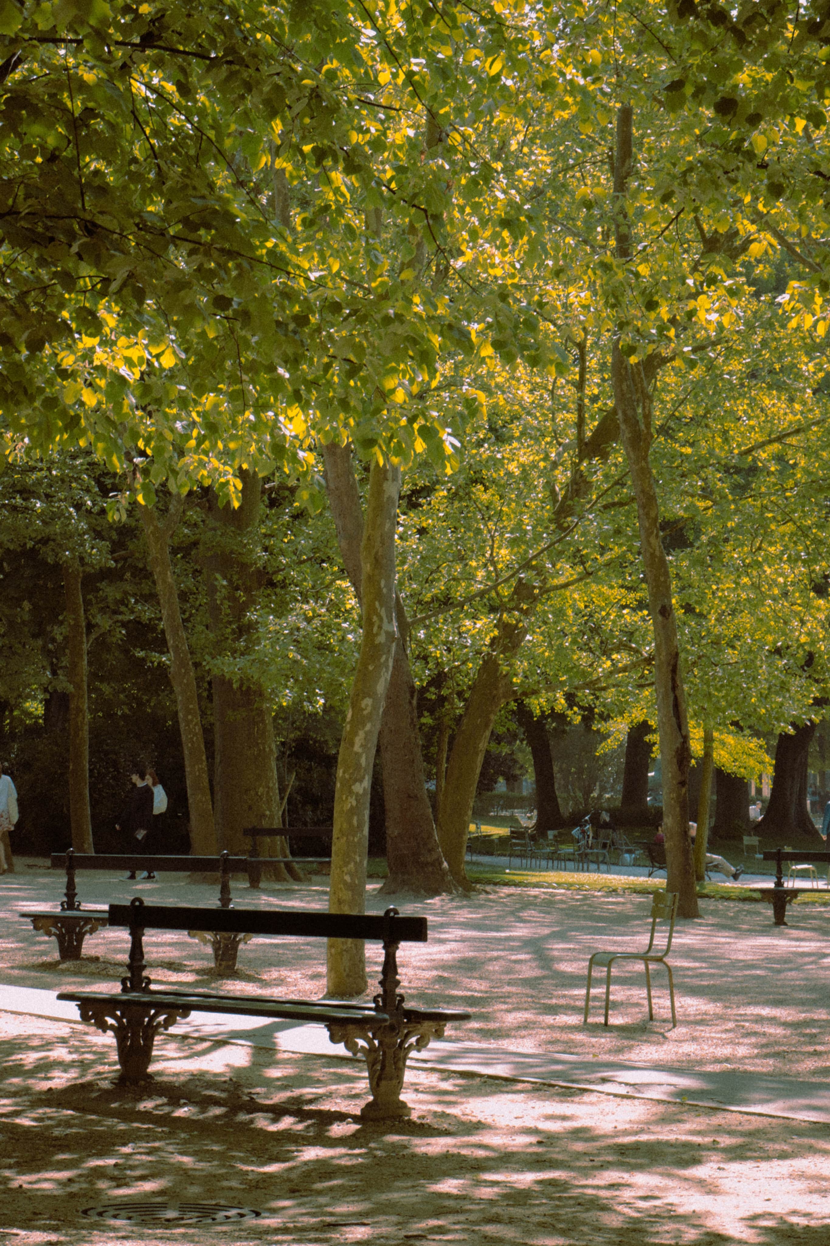 parc espace vert ville